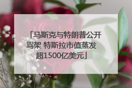 马斯克与特朗普公开骂架 特斯拉市值蒸发超1500亿美元