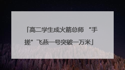 高二学生成火箭总师 “手搓”飞燕一号突破一万米