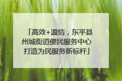高效+温情，东平县州城街道便民服务中心打造为民服务新标杆
