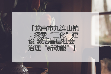 龙南市九连山镇：探索“三化”建设 激活基层社会治理“新动能”