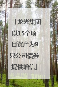 龙光集团以15个项目资产为9只公司债券提供增信