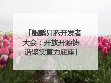 鲲鹏昇腾开发者大会：开放开源铸造坚实算力底座