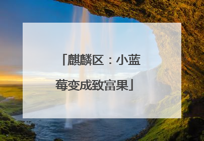麒麟区：小蓝莓变成致富果