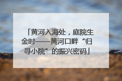 黄河入海处，庭院生金时——黄河口畔“归寻小院”的振兴密码