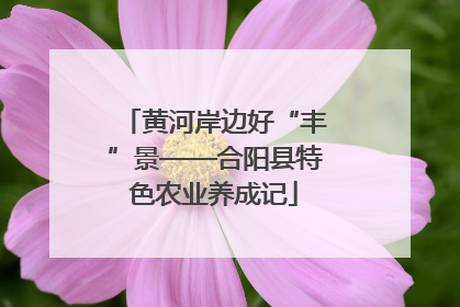 黄河岸边好“丰”景——合阳县特色农业养成记