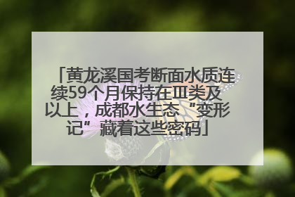 黄龙溪国考断面水质连续59个月保持在Ⅲ类及以上，成都水生态“变形记”藏着这些密码