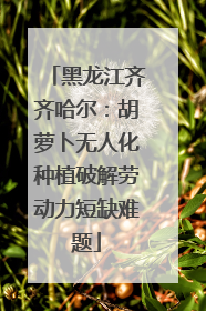黑龙江齐齐哈尔：胡萝卜无人化种植破解劳动力短缺难题