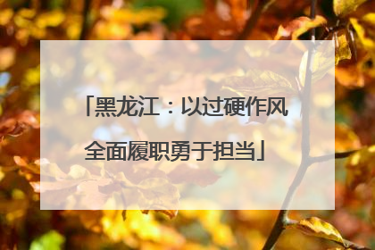 黑龙江：以过硬作风全面履职勇于担当