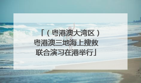 （粤港澳大湾区）粤港澳三地海上搜救联合演习在港举行