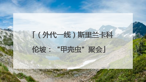 （外代一线）斯里兰卡科伦坡：“甲壳虫”聚会