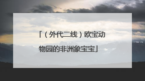 （外代二线）欧宝动物园的非洲象宝宝