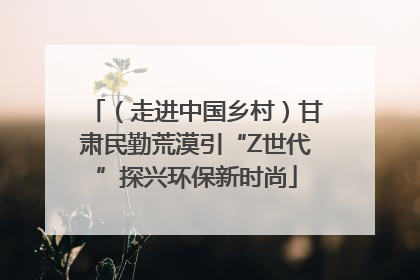 （走进中国乡村）甘肃民勤荒漠引“Z世代”探兴环保新时尚