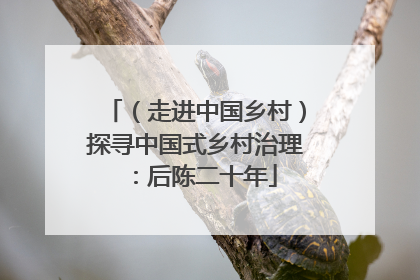 （走进中国乡村）探寻中国式乡村治理：后陈二十年