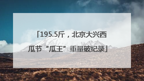 195.5斤，北京大兴西瓜节“瓜王”重量破纪录