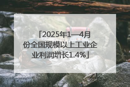 2025年1—4月份全国规模以上工业企业利润增长1.4%