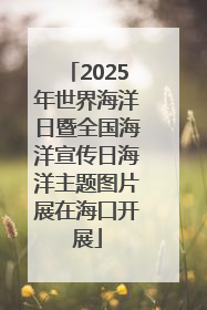 2025年世界海洋日暨全国海洋宣传日海洋主题图片展在海口开展