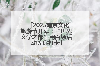 2025南京文化旅游节开幕：“世界文学之都”用百场活动等你打卡