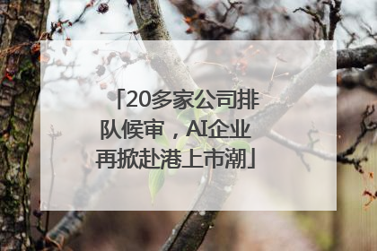 20多家公司排队候审，AI企业再掀赴港上市潮