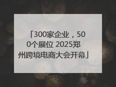 300家企业，500个展位 2025郑州跨境电商大会开幕