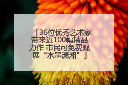 36位优秀艺术家带来近100幅精品力作 市民可免费观展“水墨潇湘”