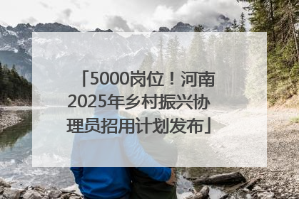 5000岗位！河南2025年乡村振兴协理员招用计划发布