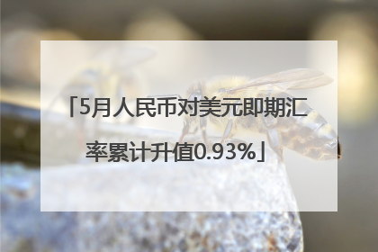5月人民币对美元即期汇率累计升值0.93%
