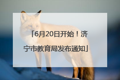 6月20日开始！济宁市教育局发布通知