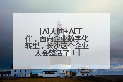 AI大脑+AI手伴，面向企业数字化转型，长沙这个企业太会整活了！