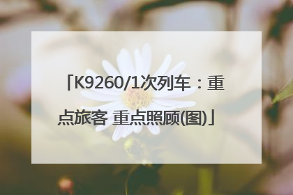 K9260/1次列车：重点旅客 重点照顾(图)
